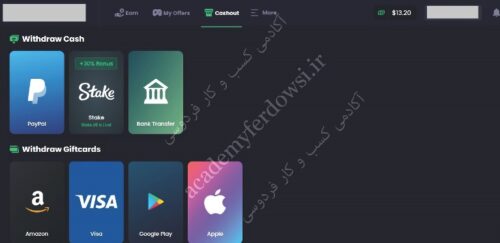 پکیج ویژه کسب درآمد دلاری آنلاین بصورت روزانه photo review