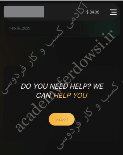 پکیج ویژه کسب درآمد دلاری آنلاین بصورت روزانه photo review