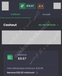 پکیج ویژه کسب درآمد دلاری آنلاین بصورت روزانه photo review