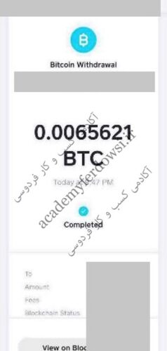 دوره جامع کسب درآمد دلاری از بیت کوین و ارزهای دیجیتال photo review