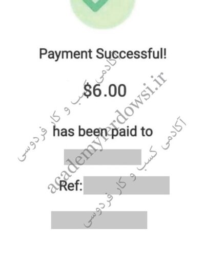 دوره جامع کسب درآمد دلاری آنلاین بصورت روزانه photo review