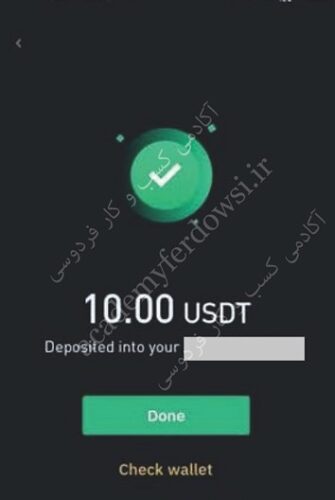 دوره جامع کسب درآمد دلاری از بیت کوین و ارزهای دیجیتال photo review