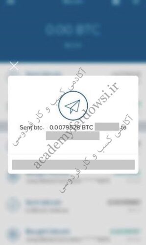 دوره جامع کسب درآمد دلاری از بیت کوین و ارزهای دیجیتال photo review